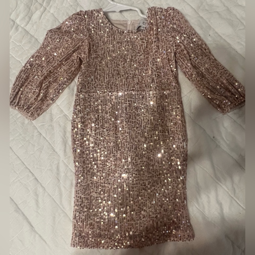 EUC Ivy City Dress